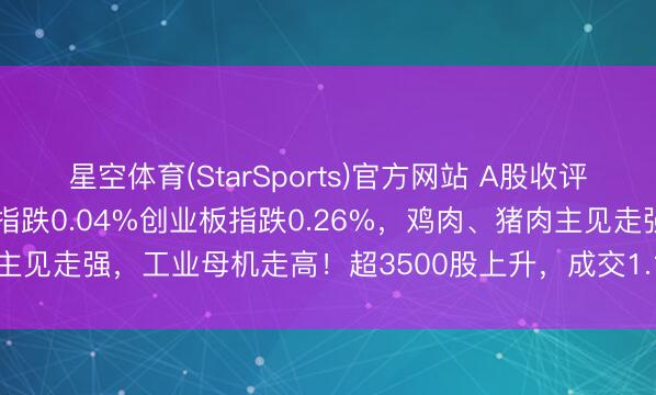 星空体育(StarSports)官方网站 A股收评：三大指数集体下降，沪指跌0.04%创业板指跌0.26%，鸡肉、猪肉主见走强，工业母机走高！超3500股上升，成交1.18万亿缩量1073亿