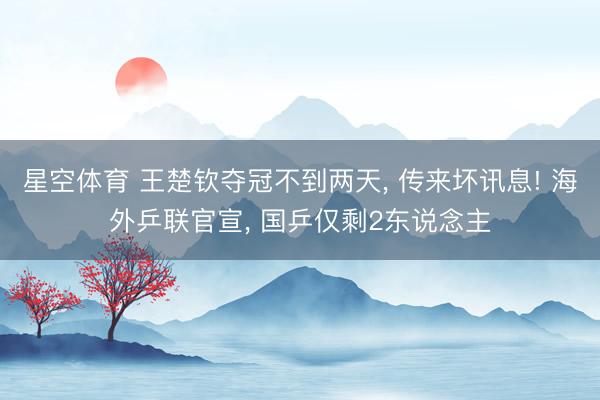 星空体育 王楚钦夺冠不到两天, 传来坏讯息! 海外乒联官宣, 国乒仅剩2东说念主