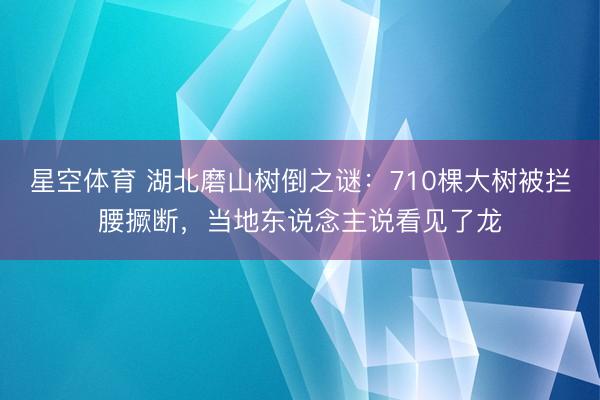 星空体育 湖北磨山树倒之谜：710棵大树被拦腰撅断，当地东说念主说看见了龙